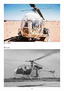 611 GYRAFRIQUE_000095